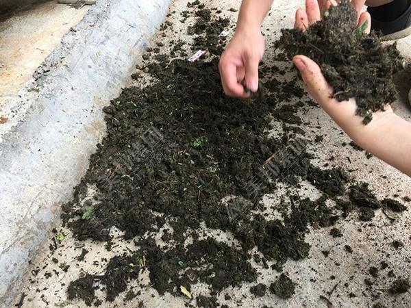 帶式壓榨脫水機在植物渣處理中的優(yōu)勢分析