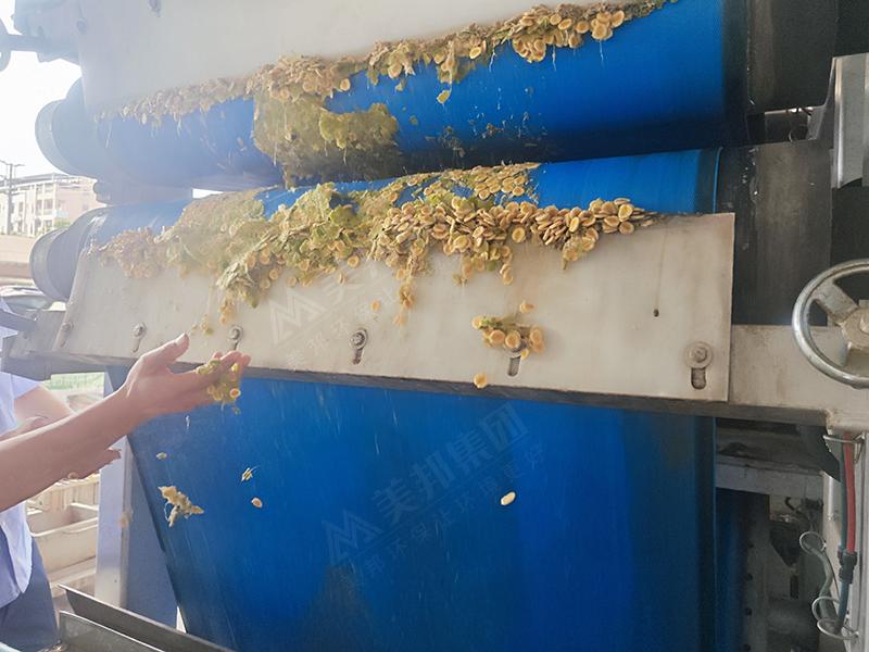 羅漢果的帶式壓榨機(jī)脫水技術(shù)及其應(yīng)用