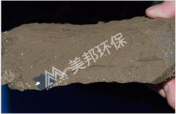 市政污水泥餅效果