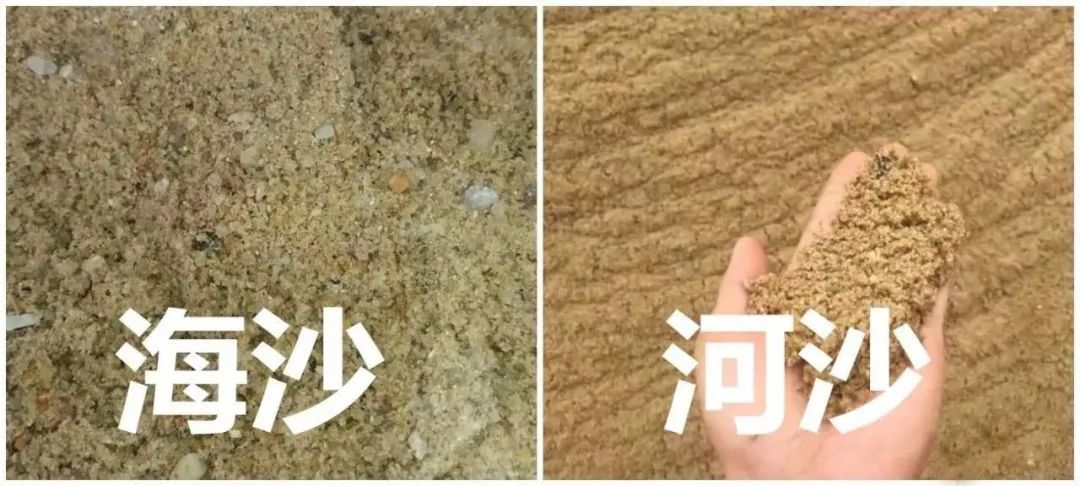 1608978821592478.jpg 640.webp (1).jpg