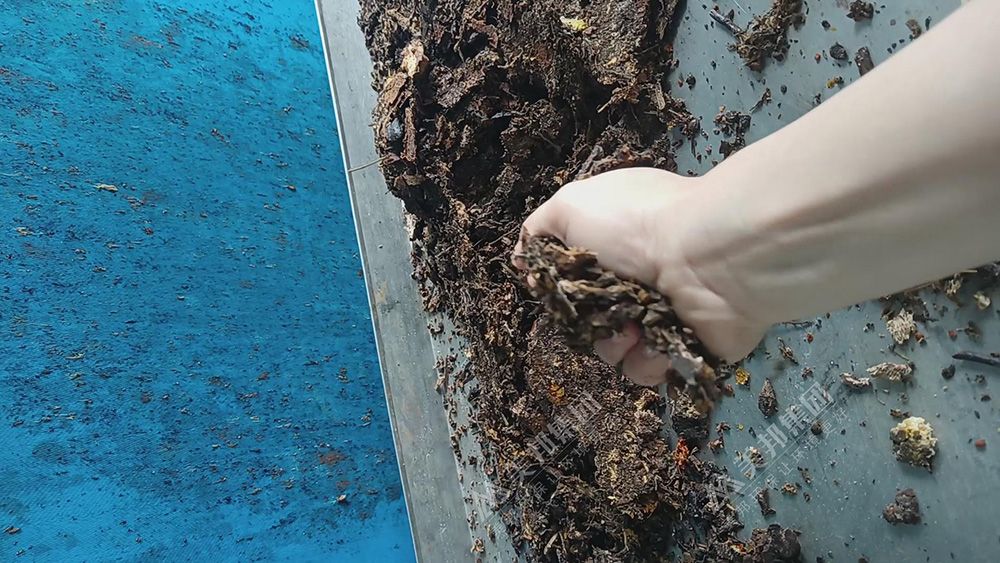 帶式壓榨機(jī)處理中藥渣脫水