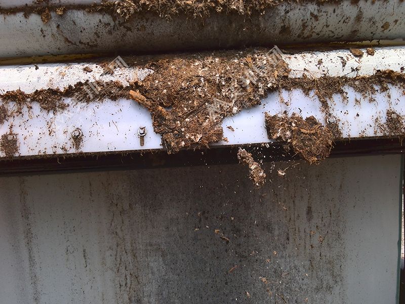 中藥渣用美邦帶式壓榨機(jī)脫水效果