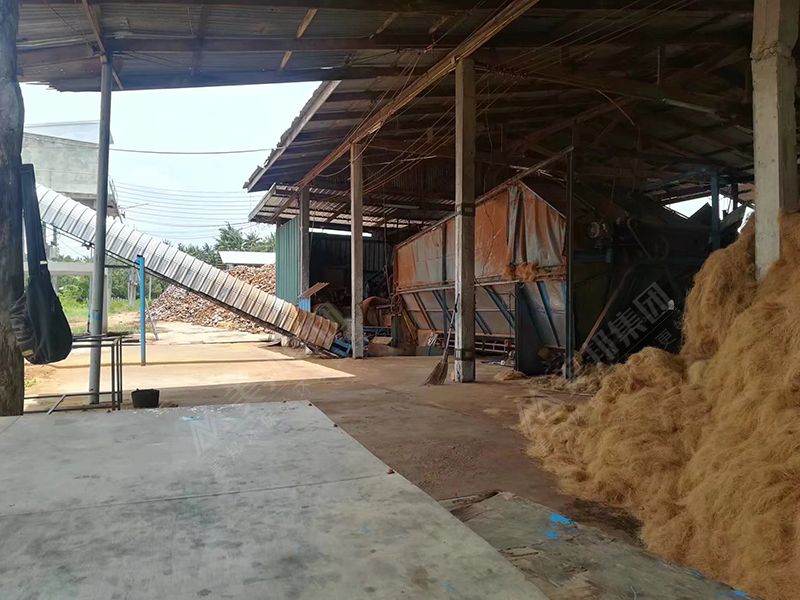 泰國(guó)客戶使用美邦帶式壓榨機(jī)處理椰糠脫水