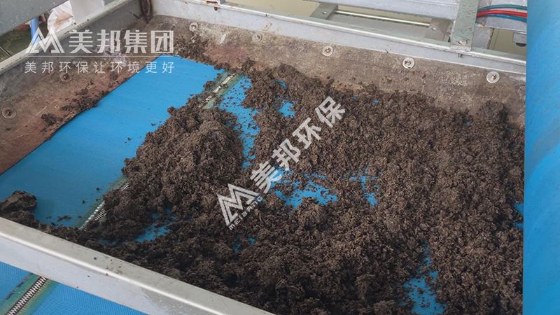 進入帶式壓榨機脫水處理的茶葉渣