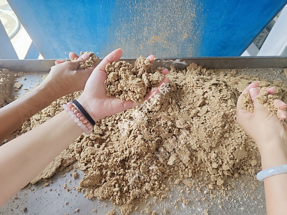 酒糟、啤酒渣用帶式機處理