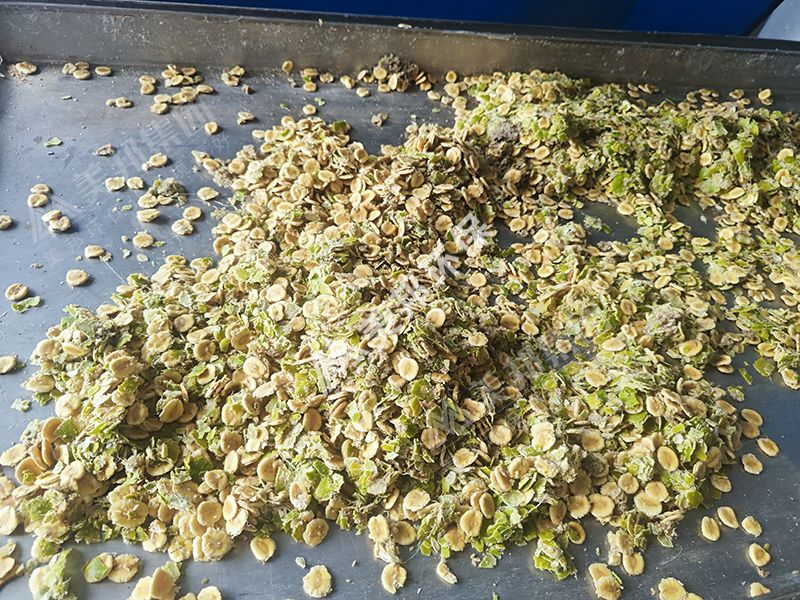 帶式壓榨機(jī)脫水后的羅漢果渣 帶式壓榨機(jī)脫水后的羅漢果渣