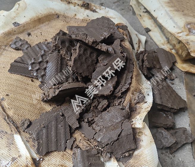 美邦板框壓濾機(jī)處理垃圾滲濾液